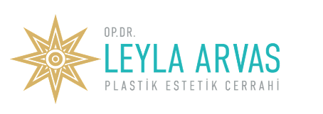 drleylaarvas-logo-retina drleylaarvas-retina